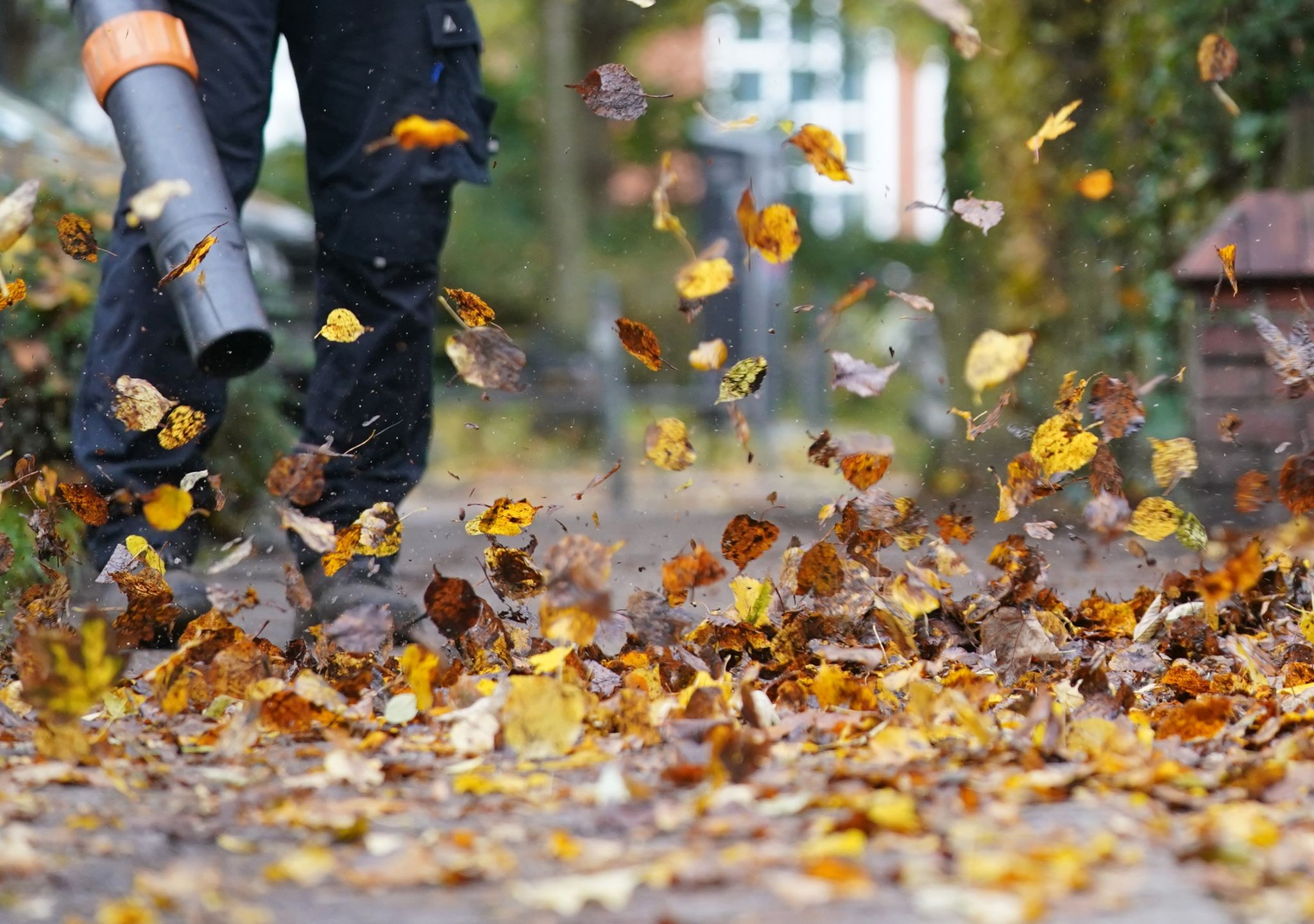 Kampf gegen das Herbstlaub: Laubbläser sind praktische Helfer - aber nur, wenn sie sachgemäß und sicher bedient werden.