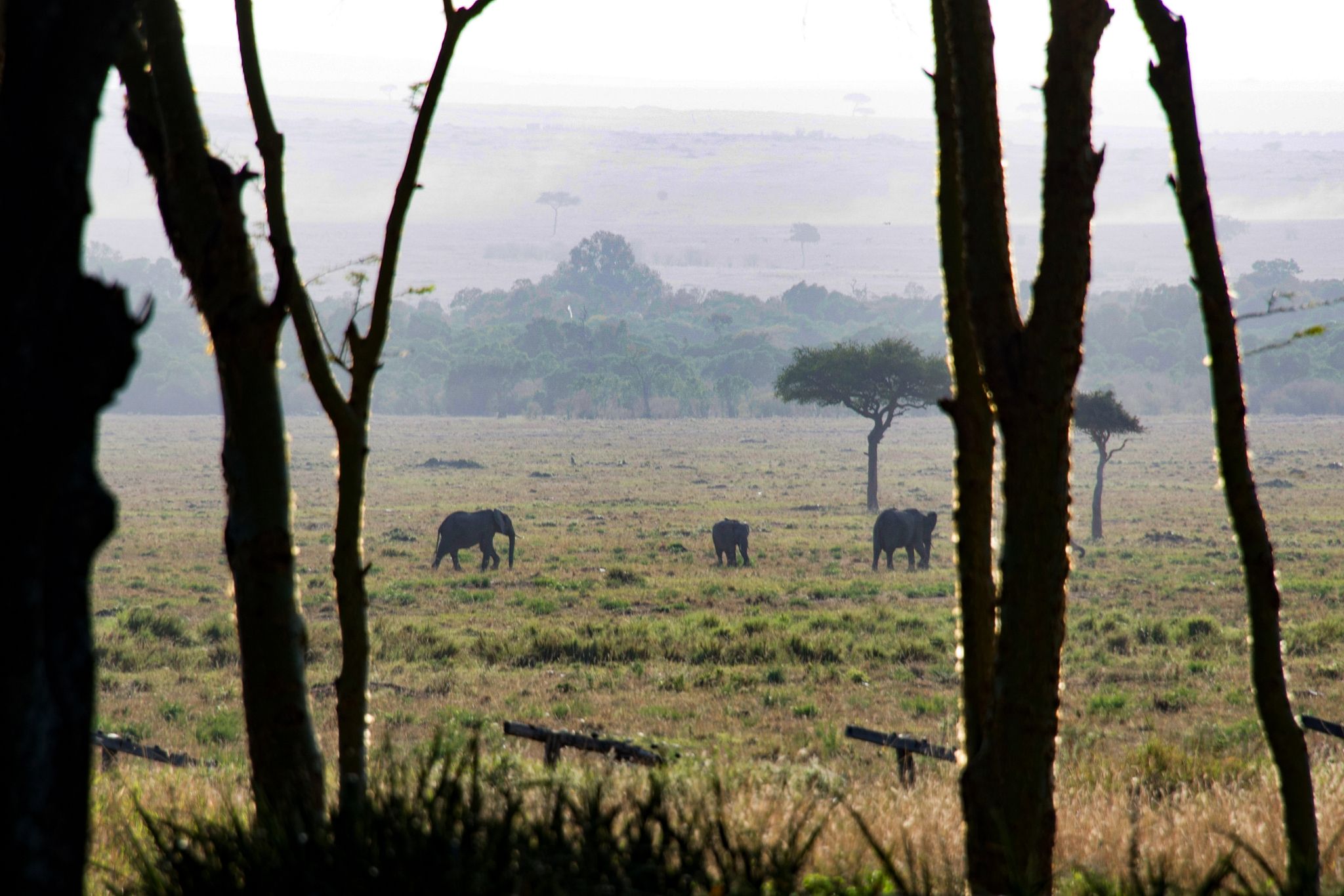 Kenia-Reisen: Eine elektronische Reisegenehmigung (ETA) ist jetzt erforderlich. Was die Einreise erleichtern soll, sorgt aber auch für Verwirrung.