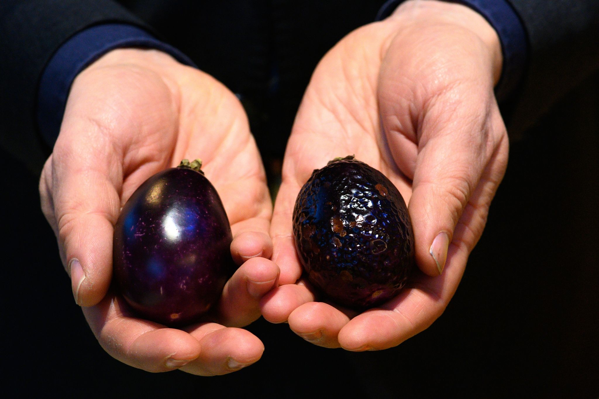 Sind Mini-Auberginen beim Einkauf schrumpelig und haben braune Flecken, deutet das auf einen Kälteschaden hin.