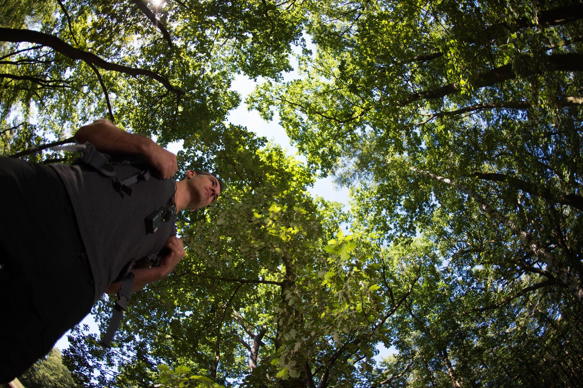 Ob Park oder Wald: Wer regelmäßig im Grünen ist, tut etwas für seine mentale Gesundheit.