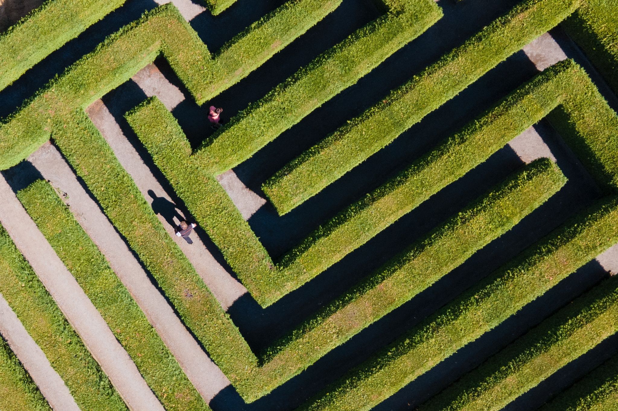 Tägliche Herausforderungen: Jede Entscheidung schließt Alternativen aus. Wenn Entscheidungen im Alltag schwierig werden, spricht man von Entscheidungsparalyse.