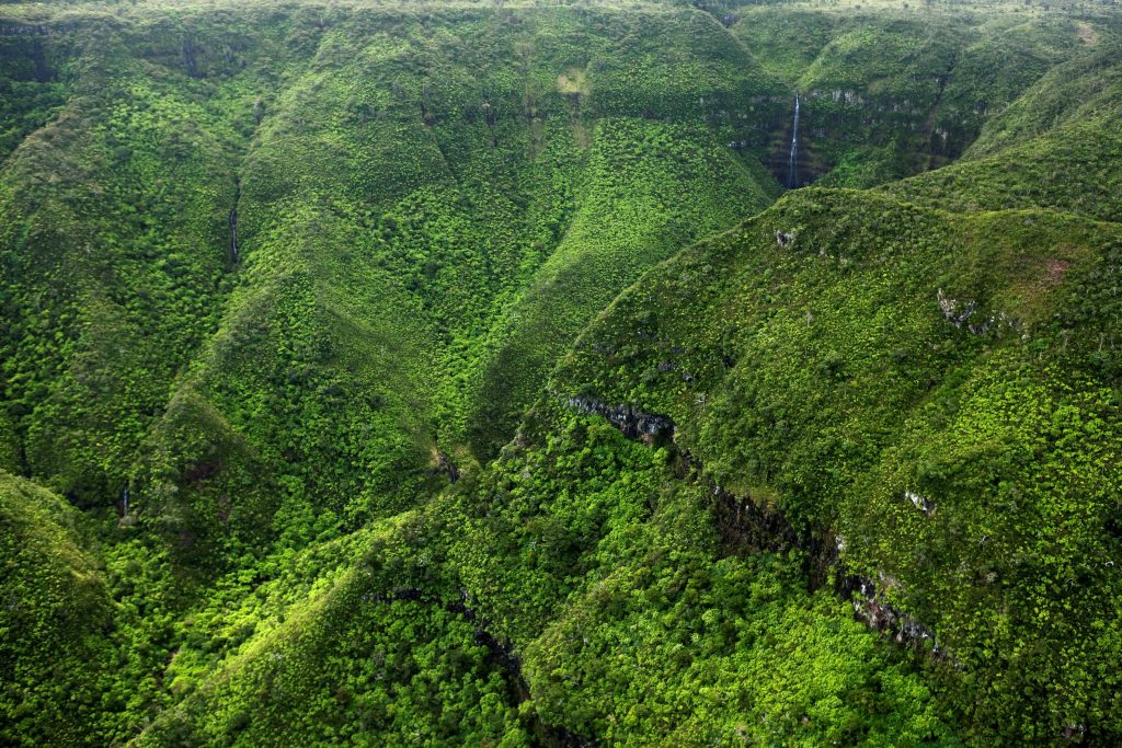 Black River Gorges Nationalpark ©MTPA/Bamba